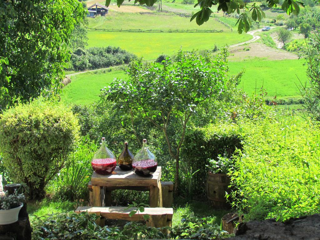 Summerhouse Beram Pazin Kültér fotó